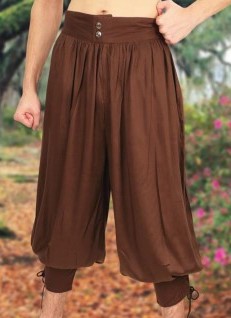 Wayfarer Pants in brown.